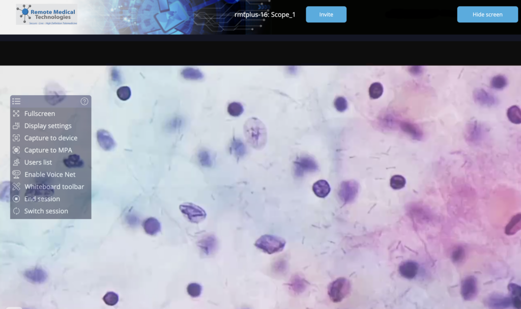 Screenshot of rmtConnedtPlus interface.
